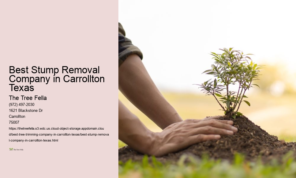 Best Stump Removal Company in Carrollton Texas