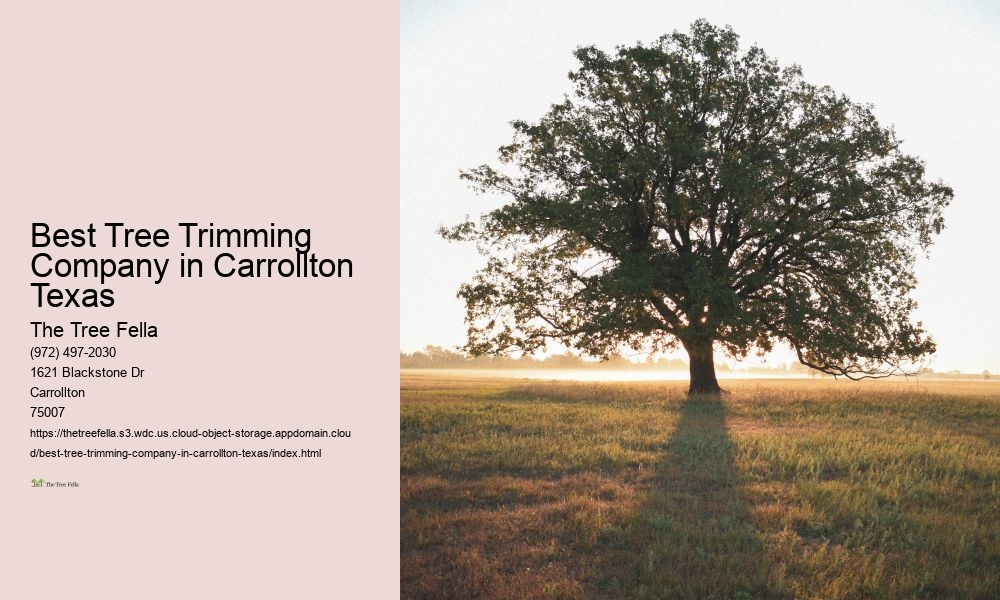Best Tree Trimming Company in Carrollton Texas